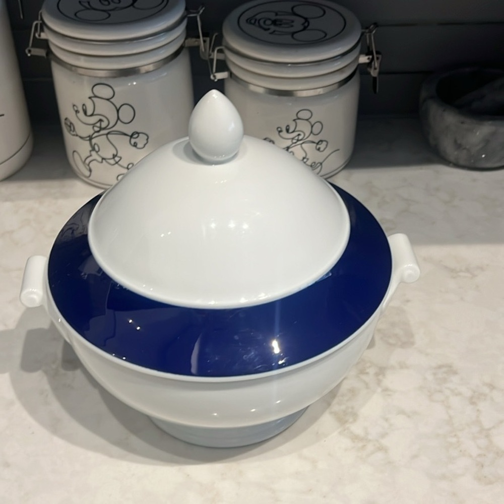 Vintage Heinrich Germany Blue and White Tureen